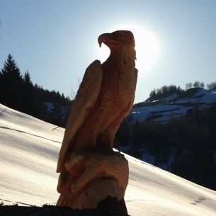 Adler im Schnee