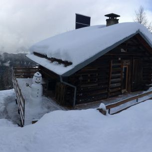 Adlerhorst im Winter