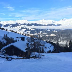 Adlerhorst im Winter